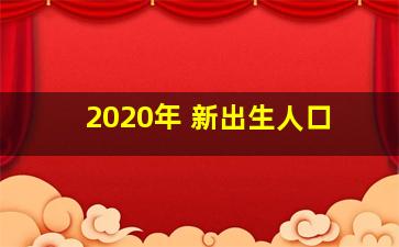 2020年 新出生人口